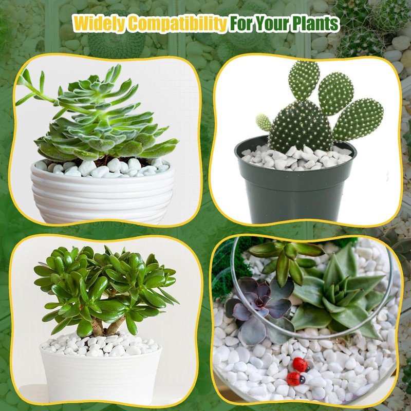 Doter Organic Chunky Perlite for Plants (0.4"-0.8" in Diameter), Natural