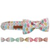 Unique style paws Dog Collar with Bow, Bow Tie Dog