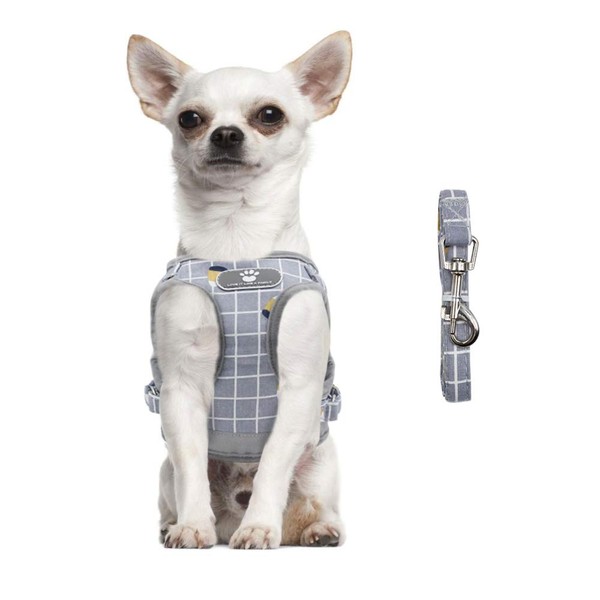 FEimaX Soft Mesh Dog Harness and Leash Set for Walking,