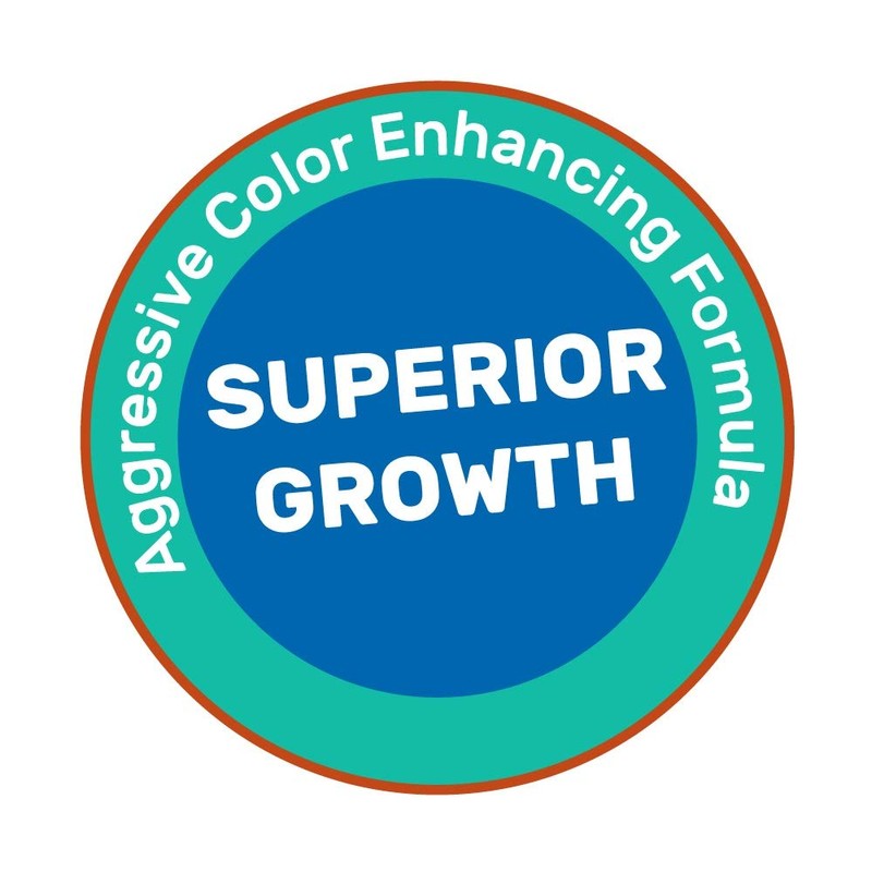 Hikari 8.8-Ounce Cichlid Bio-Gold and Floating Pellets, Medium