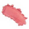 wet n wild Pampered Lip Scrub