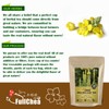 FullChea - Mullein Leaf Tea Bags, 20 Teabags, 3g/bag For
