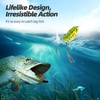 Probite Soft Frog Lures, Topwater Swimbaits for Bass Fishing, Realistic
