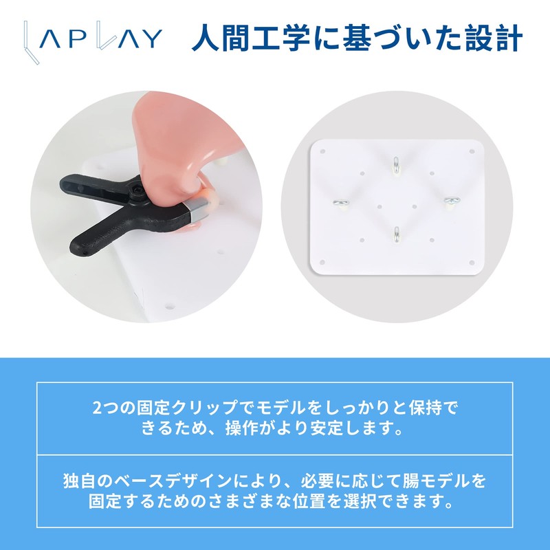 LAPLAY Surgical Training Simulated Gut Model Skin Suture Practice Laparoscopic