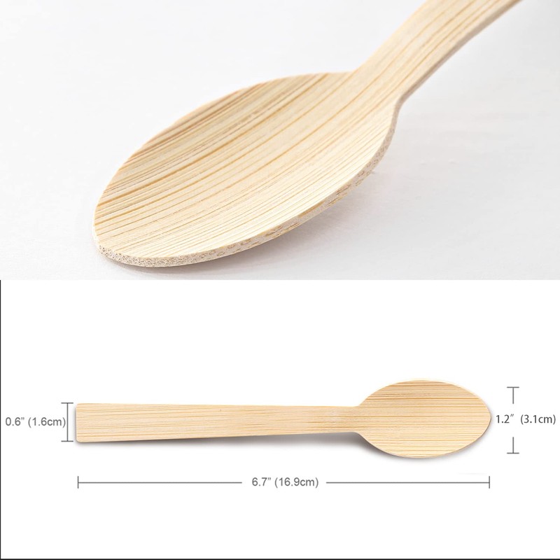 Bamboo Disposable Cutlery-Bamboo Spoons 100PK 6.7" for Travel Camping Utensils
