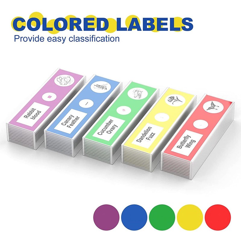 Plastic Prepared Microscope Slides for Kids, Cainda 60pcs Animals Insects