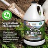 Nature's Freedom 45% Concentrated Vinegar, 1 Gallon with “How to