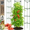 K-Brands Tomato Cage – Premium Tomato Plant Stakes Support Cages