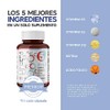 LIFEED5 Complejo B Vitaminas B1, B2, B3, B5, B6, B12