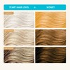 Keracolor Clenditioner HONEY Hair Dye - Semi Permanent Hair Color