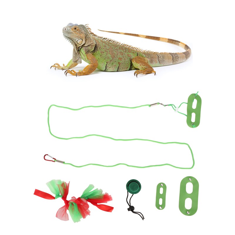 Reptile Pet Leash Kit Christmas Reptile Harness with Skirts Hat