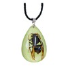 Handmade Glow Natural Bug Pendant Necklace Real Insect Resin Waterdrop