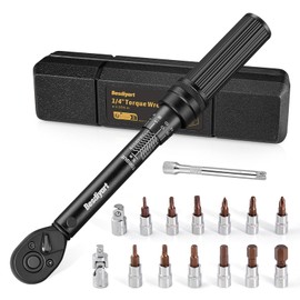 Bestdiyart 1/4 Drive Precision Torque Wrench Kit, 3-35Nm ±3% Accuracy,16-Piece Set with 3/8" Adapter, Hex/Torx/PH Bits for Bicycle, Motorcycle & Car Maintenance