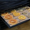 Excalibur ParaFlexx Reusable Non-Stick Drying Sheets for Food Dehydrators 11-Inch,