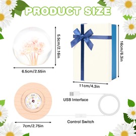 WYZCTTD Daisy Ball Night Light, 2.76" Crystal Glass Ball Lamp with Wooden Base | Flower Night Light & Perfect Daisy Decor Gift for Mom, Daughter, Dad, Kids, Teacher, Birthday