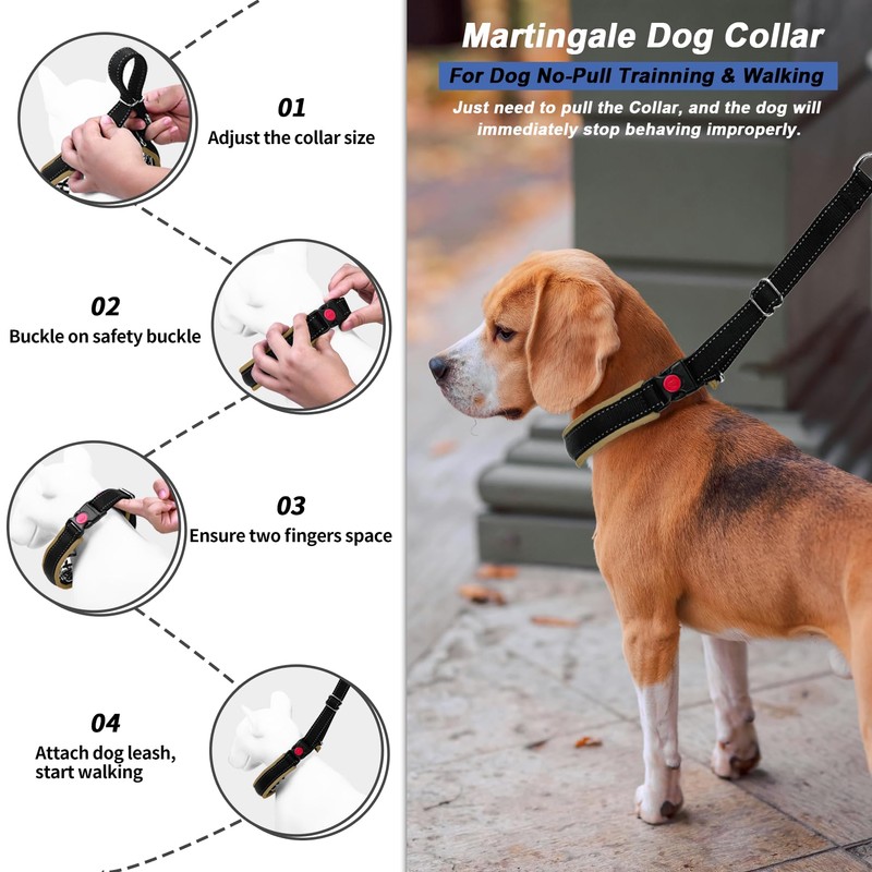 Monstoyo Martingale Collar for Dogs, Hidden No Pull Dog Collar