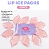 Herb Life Lip Ice Pack for Cosmetic (10 PCS)Ice Pack