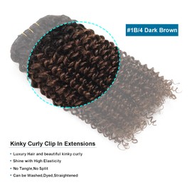 Ombre Curly Clip In Hair Extensions Real Human Hair Kinky Curly Clip In Hair Extensions 4B Clip In Hair Extensions For Black Women Brown Thick Natural Hair Clip Ins Double Weft 3C 4A Kinky Curly Clips