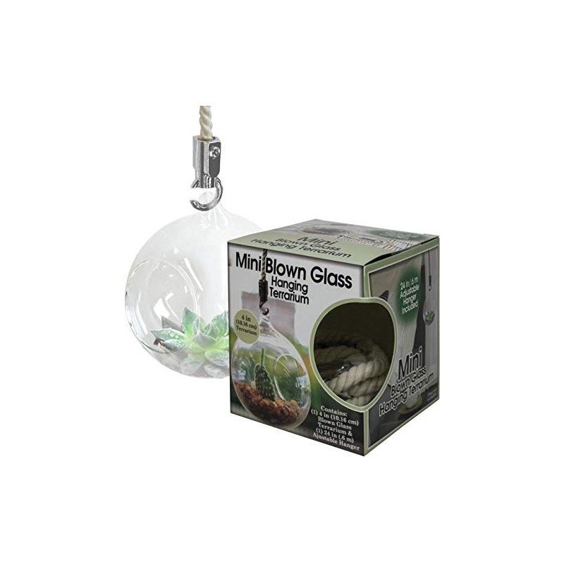 Mini Blown Glass Hanging Terrarium-