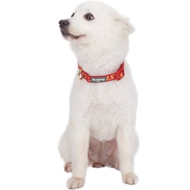 Blueberry Pet 10+ Patterns Geometric Designer Dog Collars