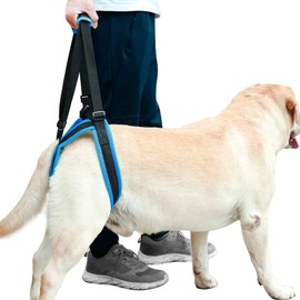 ROZKITCH Pet Dog Support Harness Rear Lifting Harness Veterinarian Approved for Old K9 Helps with Poor Stability, Joint Injuries Elderly and Arthritis ACL Rehabilitation Rehab L