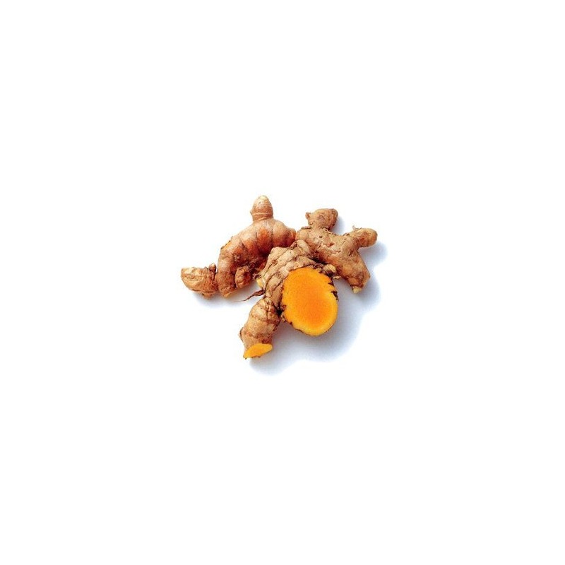 【ウコン複合体】 ウコンゴールド粉 容器入 150g×2P 沖縄県産ウコン100％ クルクミン豊富な秋ウコンに春ウコン・紫ウコンをブレンドしたサプリ