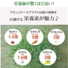 【医師が選ぶ最強食材 ブロッコリースプラウトパウダー 20g（50回分）150日 スルフォラファン サプリ ダイエット 美容 健康 エイジングケア ブロッコリースプラウト