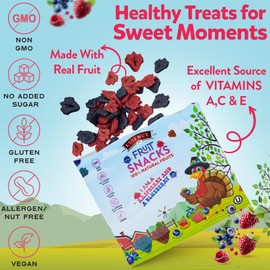 Real Fruit Snack – Raspberry & Blueberry (Pack of 18) – Healthy, Bite-Sized, Non-GMO, Vegan & Gluten-Free Snack for School Lunch - Fruit Snacks for Kids and Adults