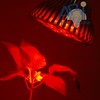 ABI 18W Full Spectrum LED Grow Light Bulb PAR38 (Blue