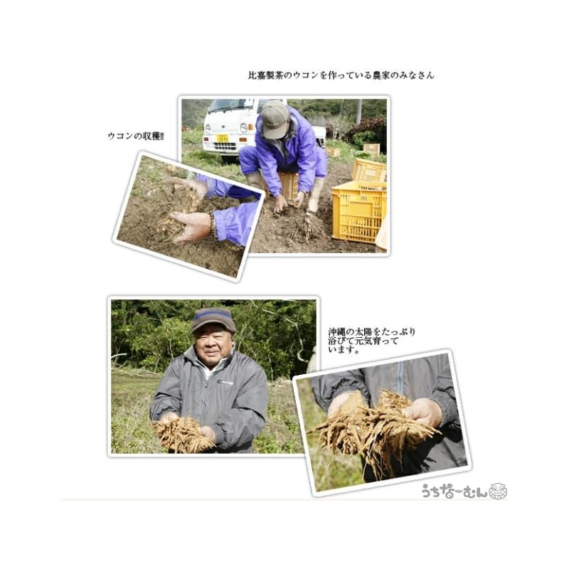 比嘉製茶 秋ウコン 錠剤90粒 沖縄県産 ウコン 鬱金 ターメリック クルクミン フラボノイド シオネール