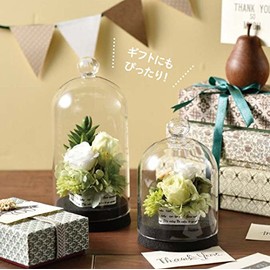 Paseo Interior Sundries handy korukudo-mu Black 48-04l – BK