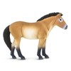 Safari Ltd. Przewalski's Horse Figurine - Lifelike 5" Horse Figure