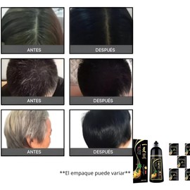 Negro- Shampoo Tinte Instantaneo Para Cabello Cubre Canas Natural Jengibre 500Ml Más 5 Sobres 30Ml C/U (150G) - Champú Para Teñir El Cabello 3 En 1 Coloración Con Hierbas Unisex (650Ml)