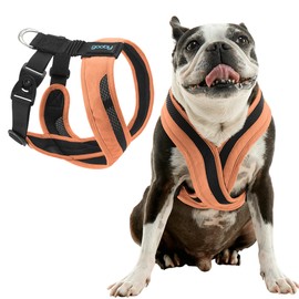 Gooby Comfort X One Dog Harness - Head-in Dog Harness for Small & Medium Sized Dogs - Escape-Free & Choke Free - Breathable Mesh, Shock Absorbing, Easy Snap & Swivel Buckles - Atlanta Peach, Small