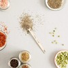 RSVP International Endurance Kitchen Collection Open Stock Measuring Spoon, Stainless