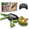 Zingelo RC Wall Climbing Toy Car – Rechargeable Dual Mode
