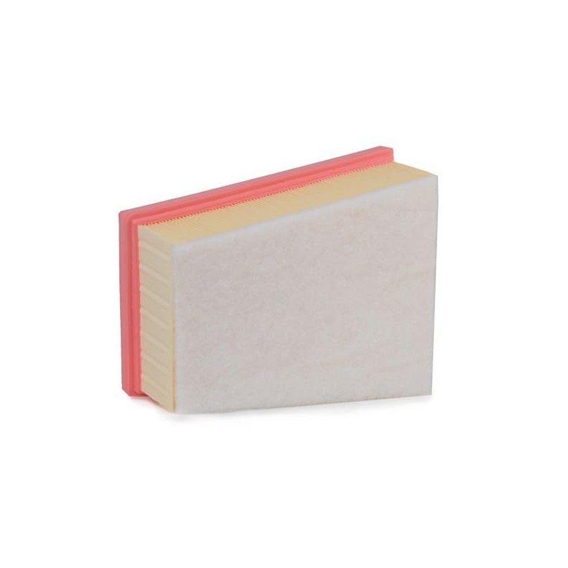 RIDEX 8A0251 Air Filter with Pre-Filter Compatible with Renault Megane