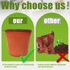 100 Packs 8" Plant Nursery Pots Plastic Seedling Starter pot
