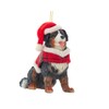 Perro de montaña bernés con chamarra a cuadros y adorno de sombrero de Papá Noel
