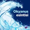 Domestos WC Blok 5'li Güç Tuvalet Bloğu Okyanus Ferahlığı Maksimum