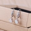 C·QUAN CHI Women's 925 Sterling Silver Hanging Earrings Opal Pendant