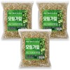 Dried moringa leaves 300g, 3 packs (900g) Moringa leaf tea / 건조 모링가 잎 300g 3개입 (900g) 모링가잎차