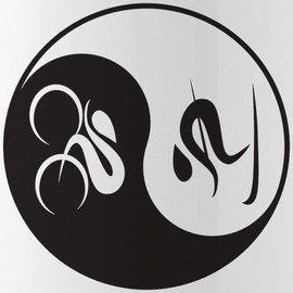 CafePress Bike Ski Yin Yang Stainless Water Bottle 1 1.0L (34 oz) Stainless Steel Water Bottle