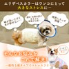 JCW Dog Postoperative Clothes Elizabeth Collar Male Female Dog Clothes