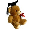 Deluxe Paws Gift Teddy Bears for Special Occassions, 100% Recycled