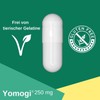 Yomogi 250 mg, for the treatment and prevention of diarrhoea,