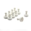 High Power White Skittle Magnet for Fridge, Office, Whiteboard, Noticeboard,