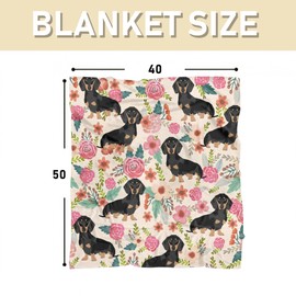 Koesnbre Cute Dachshund Blanket for Women Girls Kids Adults 40" x 50", Dog Flannel Throw for Sofa Couch Bed Living Room, Gifts for Animal Lovers