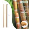 Biodegradable Sugarcane Straws Paille (100 pcs) Eco-Friendly Straws Disposable Plastic-Free