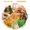 Fucoidan 8 Okinawan Herbs 8 Types of Extracts